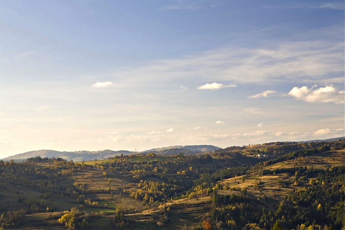 Rycerka