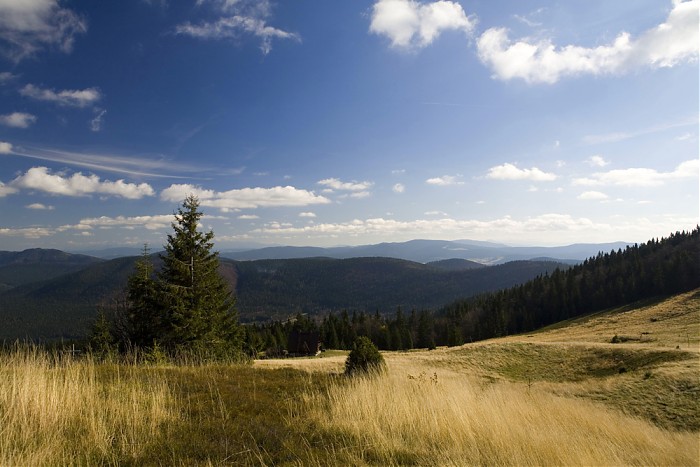 Beskid Niski