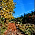jesiennym szlakiem...